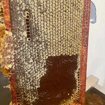 La Licorne * Mont-Roc