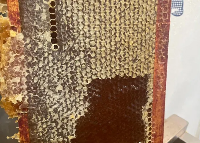 La Licorne * Mont-Roc